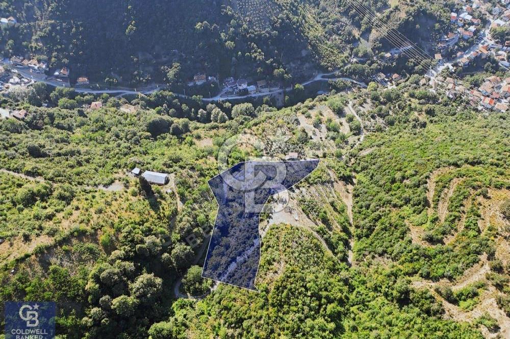 CB ENVOY'dan Değirmendere Yukarı Mahalle'de 9.000m2 Arsa