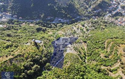 CB ENVOY'dan Değirmendere Yukarı Mahalle'de 9.000m2 Arsa