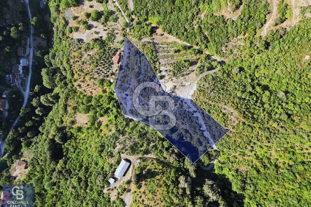 CB ENVOY'dan Değirmendere Yukarı Mahalle'de 9.000m2 Arsa