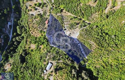 CB ENVOY'dan Değirmendere Yukarı Mahalle'de 9.000m2 Arsa