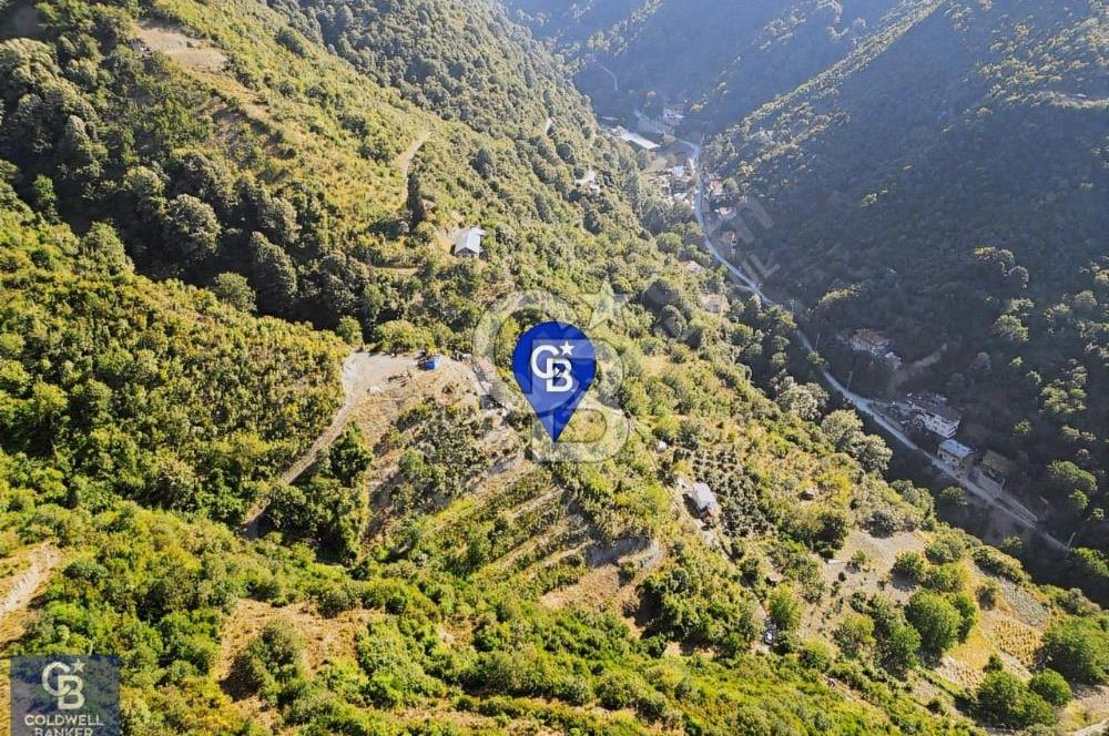 CB ENVOY'dan Değirmendere Yukarı Mahalle'de 9.000m2 Arsa
