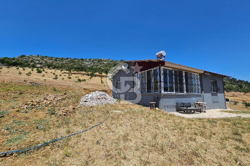 YATIRIMLIK CEVİZ BAHÇESİ VE MÜSTAKİL EV – SİLİFKE / UŞAKPINARI 