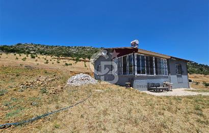 YATIRIMLIK CEVİZ BAHÇESİ VE MÜSTAKİL EV – SİLİFKE / UŞAKPINARI 