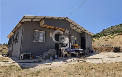 YATIRIMLIK CEVİZ BAHÇESİ VE MÜSTAKİL EV – SİLİFKE / UŞAKPINARI 
