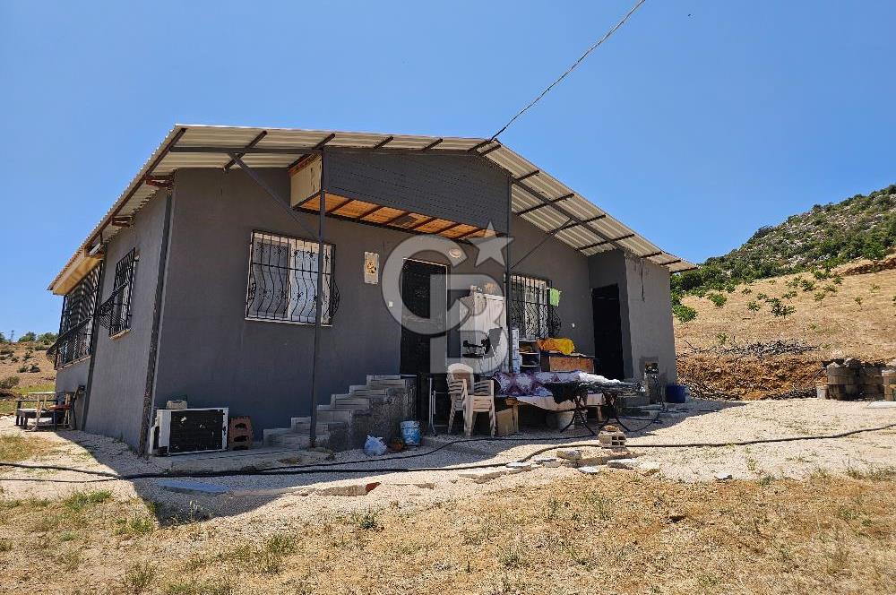 YATIRIMLIK CEVİZ BAHÇESİ VE MÜSTAKİL EV – SİLİFKE / UŞAKPINARI 