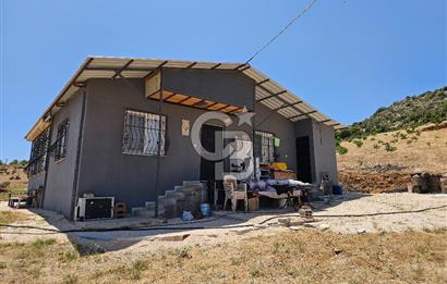YATIRIMLIK CEVİZ BAHÇESİ VE MÜSTAKİL EV – SİLİFKE / UŞAKPINARI 