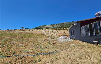 YATIRIMLIK CEVİZ BAHÇESİ VE MÜSTAKİL EV – SİLİFKE / UŞAKPINARI 