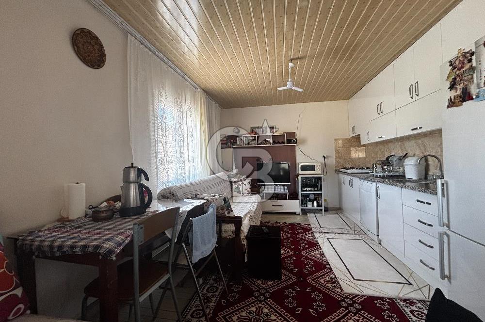 YATIRIMLIK CEVİZ BAHÇESİ VE MÜSTAKİL EV – SİLİFKE / UŞAKPINARI 