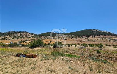 YATIRIMLIK CEVİZ BAHÇESİ VE MÜSTAKİL EV – SİLİFKE / UŞAKPINARI 