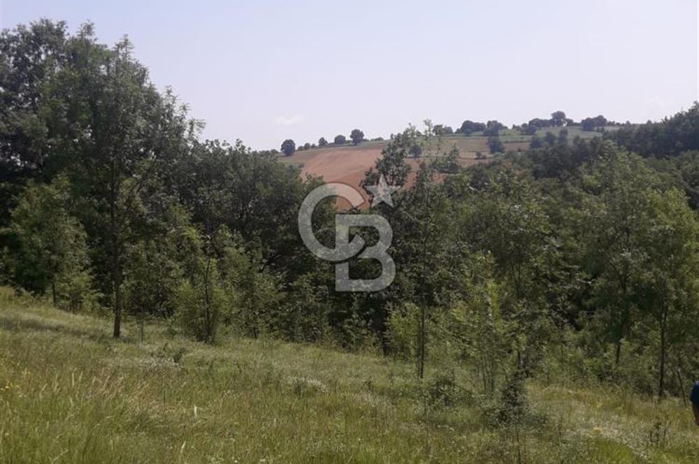 KOCAELİ İZMİT AMBARCI DA MERKEZE ÇOK YAKIN 670 M2 SATILIK ARSA