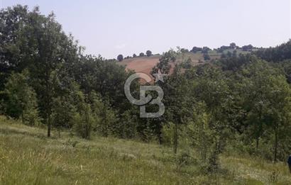 KOCAELİ İZMİT AMBARCI DA MERKEZE ÇOK YAKIN 670 M2 SATILIK ARSA