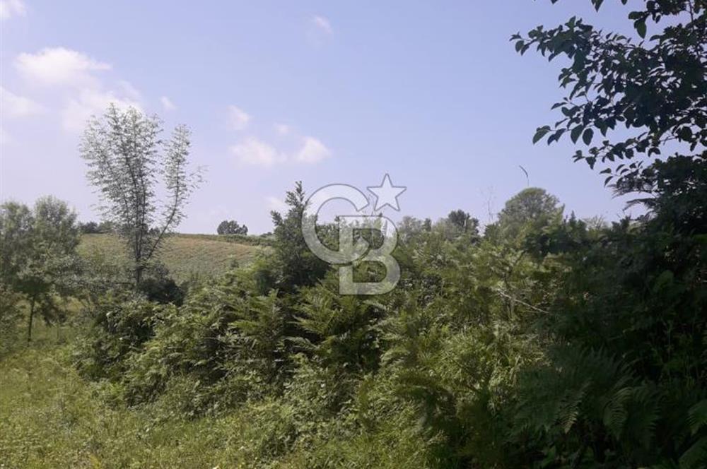 KOCAELİ İZMİT AMBARCI DA MERKEZE ÇOK YAKIN 670 M2 SATILIK ARSA