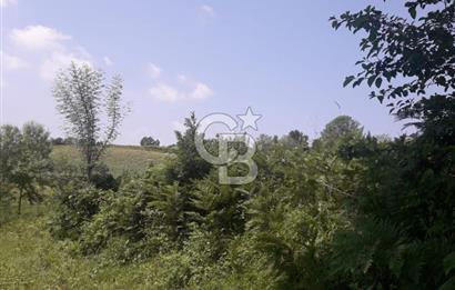 KOCAELİ İZMİT AMBARCI DA MERKEZE ÇOK YAKIN 670 M2 SATILIK ARSA
