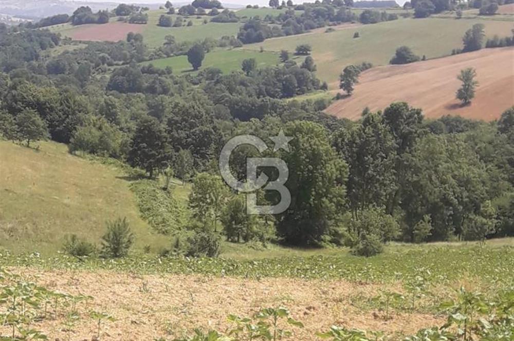 KOCAELİ İZMİT AMBARCI DA MERKEZE ÇOK YAKIN 670 M2 SATILIK ARSA