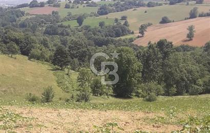 KOCAELİ İZMİT AMBARCI DA MERKEZE ÇOK YAKIN 670 M2 SATILIK ARSA