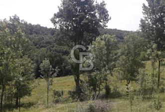 KOCAELİ İZMİT AMBARCI DA MERKEZE ÇOK YAKIN 670 M2 SATILIK ARSA