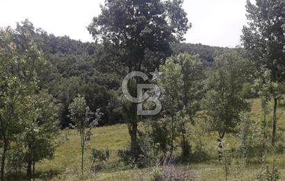 KOCAELİ İZMİT AMBARCI DA MERKEZE ÇOK YAKIN 670 M2 SATILIK ARSA