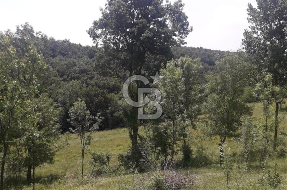 KOCAELİ İZMİT AMBARCI DA MERKEZE ÇOK YAKIN 670 M2 SATILIK ARSA
