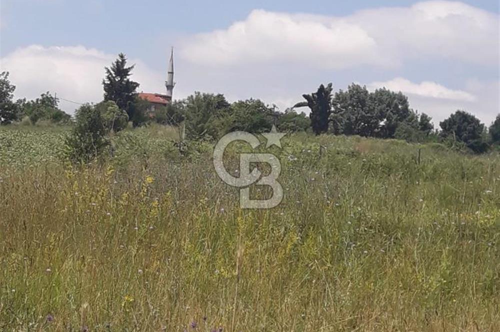 KOCAELİ İZMİT AMBARCI DA MERKEZE ÇOK YAKIN 670 M2 SATILIK ARSA