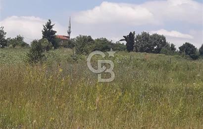 KOCAELİ İZMİT AMBARCI DA MERKEZE ÇOK YAKIN 670 M2 SATILIK ARSA