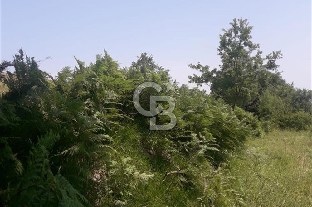 KOCAELİ İZMİT AMBARCI DA MERKEZE ÇOK YAKIN 670 M2 SATILIK ARSA