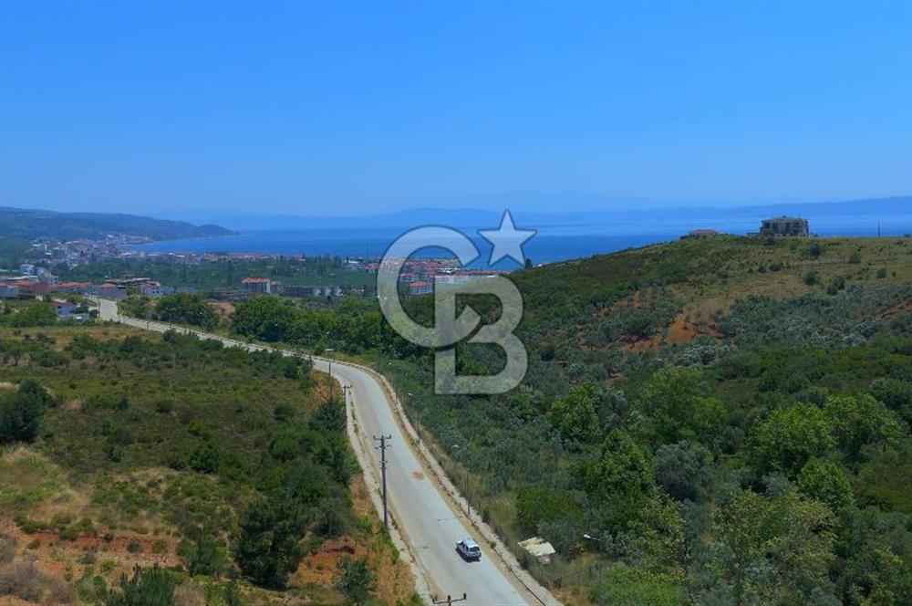 ARMUTLU'NUN EN GÜZEL NOKTASINDA, HAYALLERİNİZİ İNŞA EDECEĞİNİZ EŞSİZ ARSA!