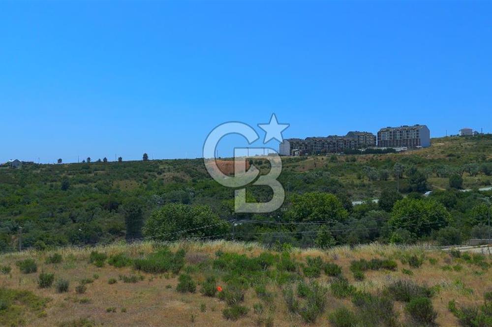 ARMUTLU'NUN EN GÜZEL NOKTASINDA, HAYALLERİNİZİ İNŞA EDECEĞİNİZ EŞSİZ ARSA!