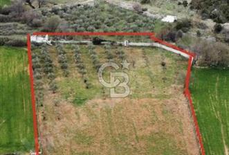Muğla Menteşe Akkaya Mahallesi’nde Satılık Tarla