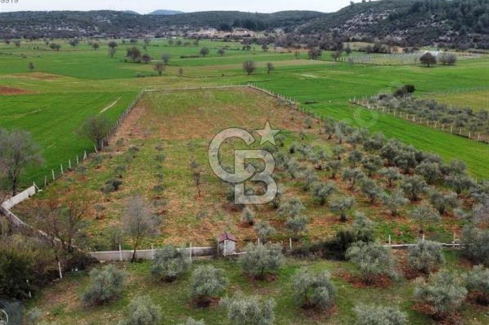 Muğla Menteşe Akkaya Mahallesi’nde Satılık Tarla