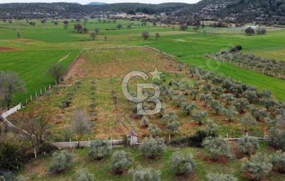 Muğla Menteşe Akkaya Mahallesi’nde Satılık Tarla
