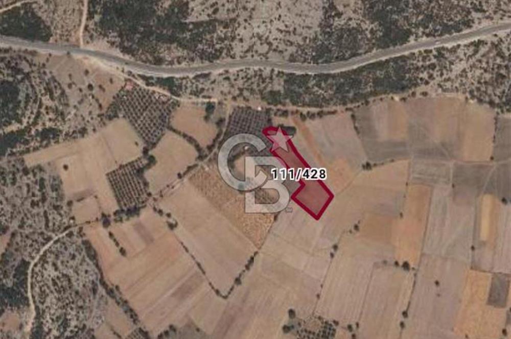 Muğla Menteşe Akkaya Mahallesi’nde Satılık Tarla
