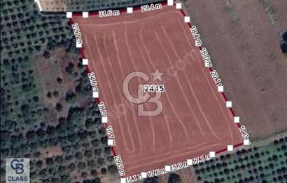 CB CLASS YENİCE OSB GENİŞLEME ALANINDA FIRSAT ARAZİ