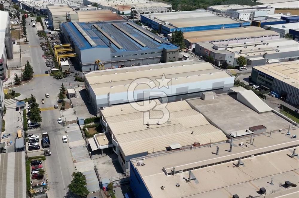 CB CLASS KİRALIK FABRİKA&DEPO 8250 m2 BURSA GEMLİK SERBEST BÖLGE