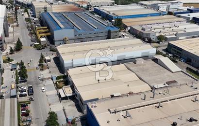 CB CLASS KİRALIK FABRİKA&DEPO 8250 m2 BURSA GEMLİK SERBEST BÖLGE