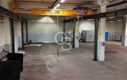 CB CLASS KİRALIK FABRİKA&DEPO 8250 m2 BURSA GEMLİK SERBEST BÖLGE