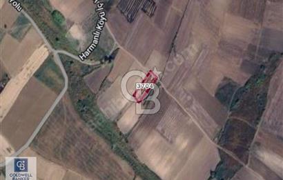 B BLACK'TAN KARACABEY HARMANLI'DA 2.200 m2 SATILIK TARLA*