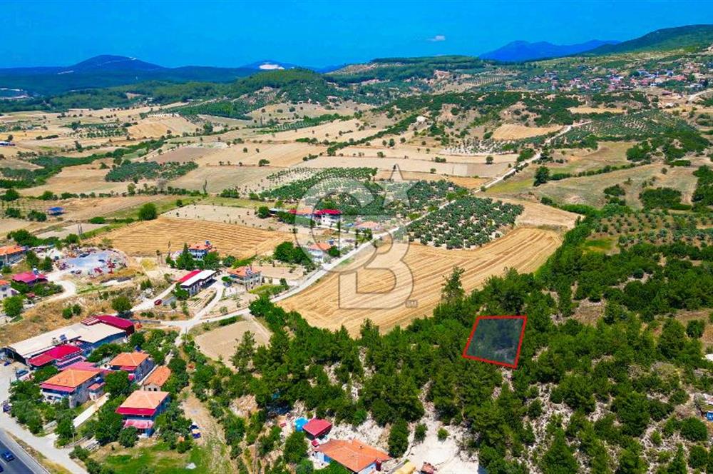 Muğla Yatağan Bozarmut Mahallesi’nde Satılık Arsa