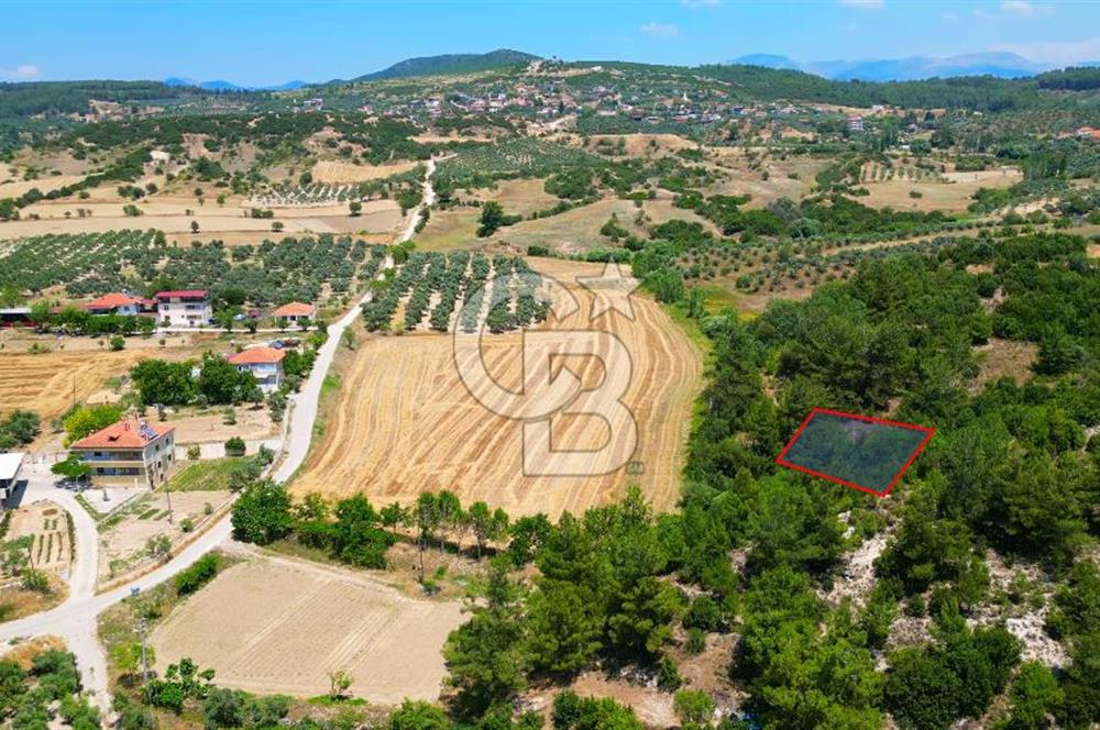 Muğla Yatağan Bozarmut Mahallesi’nde Satılık Arsa