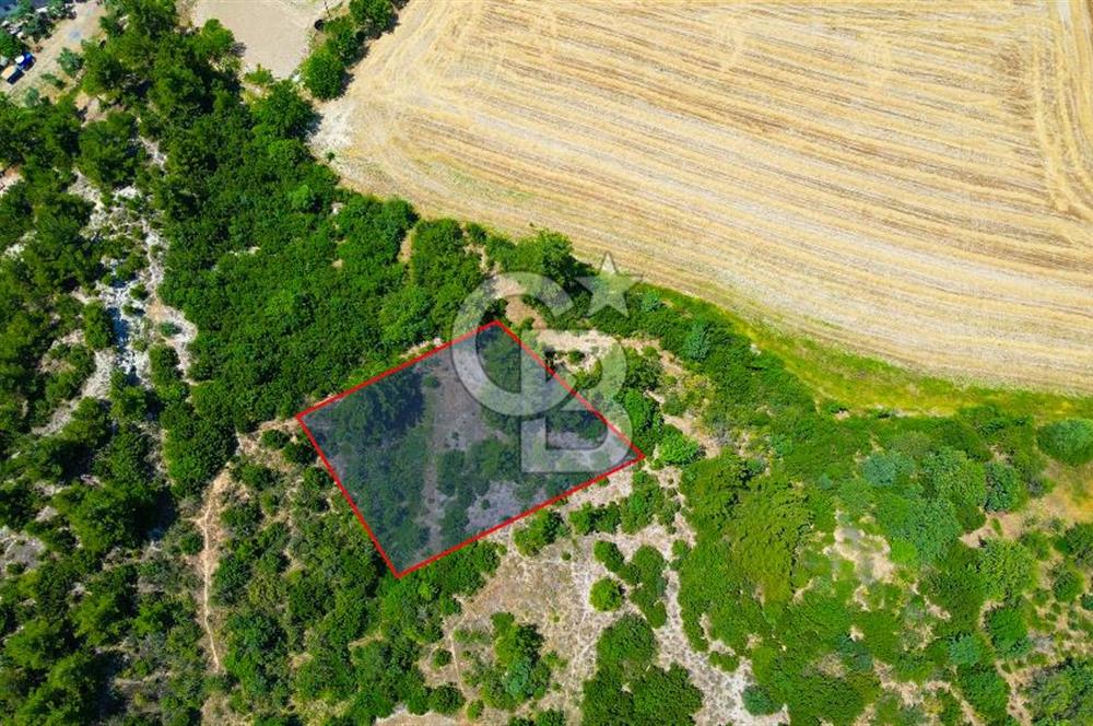 Muğla Yatağan Bozarmut Mahallesi’nde Satılık Arsa