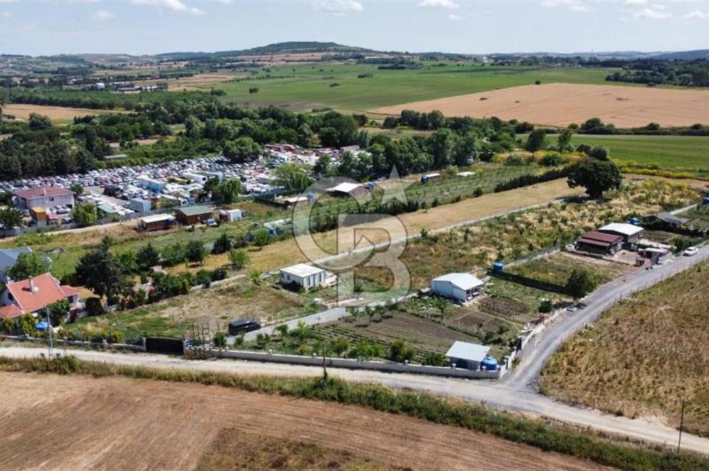 ÇATALCA KESTANELİK TE MÜSTAKİL TEK TAPU ARAZİ