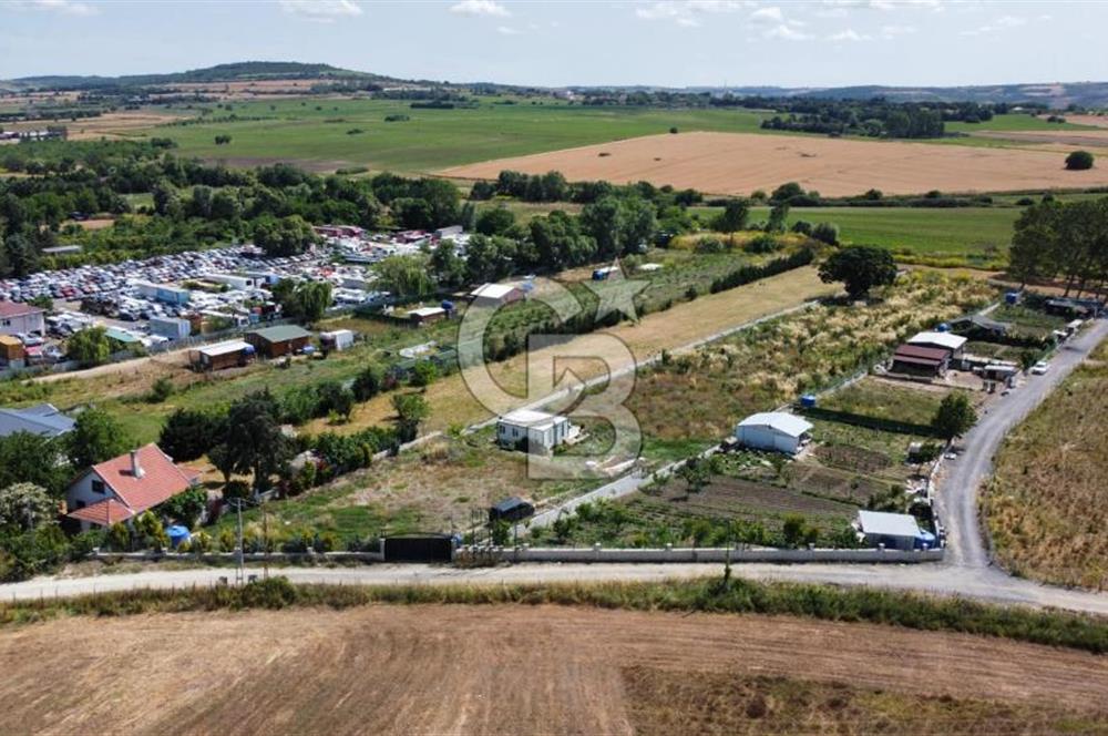 ÇATALCA KESTANELİK TE MÜSTAKİL TEK TAPU ARAZİ