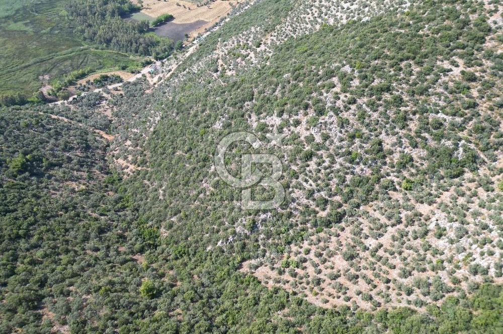 CB GİZ'DEN KAŞ ÜZÜMLÜ'DE SATILIK YATIRIMLIK ARAZİ