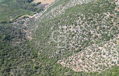 CB GİZ'DEN KAŞ ÜZÜMLÜ'DE SATILIK YATIRIMLIK ARAZİ