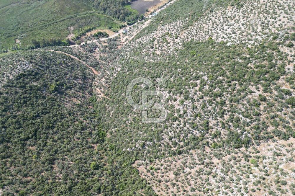 CB GİZ'DEN KAŞ ÜZÜMLÜ'DE SATILIK YATIRIMLIK ARAZİ
