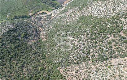 CB GİZ'DEN KAŞ ÜZÜMLÜ'DE SATILIK YATIRIMLIK ARAZİ