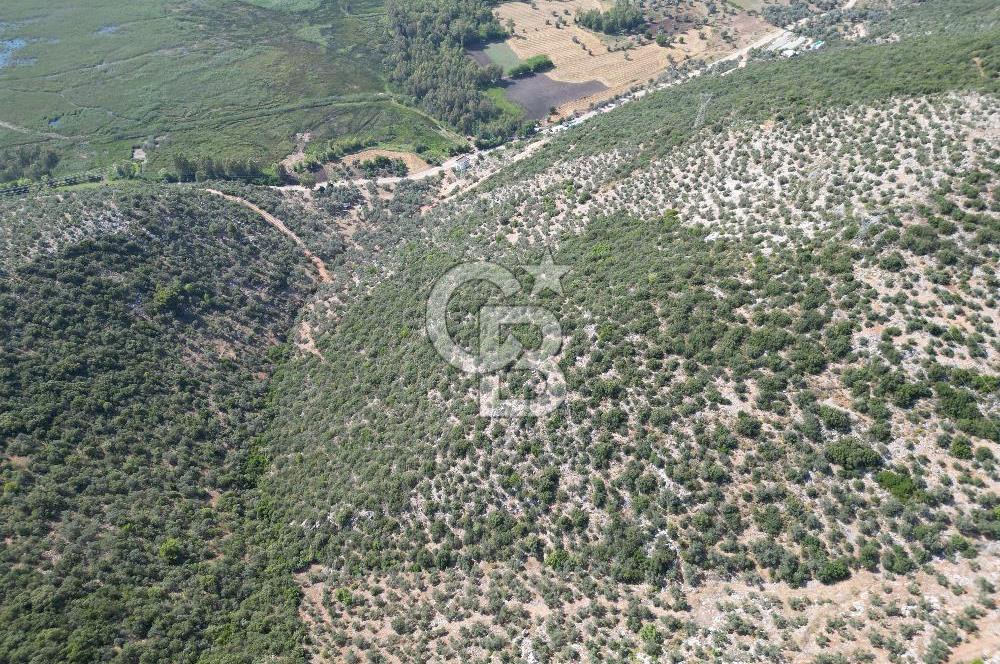 CB GİZ'DEN KAŞ ÜZÜMLÜ'DE SATILIK YATIRIMLIK ARAZİ