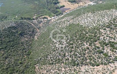 CB GİZ'DEN KAŞ ÜZÜMLÜ'DE SATILIK YATIRIMLIK ARAZİ