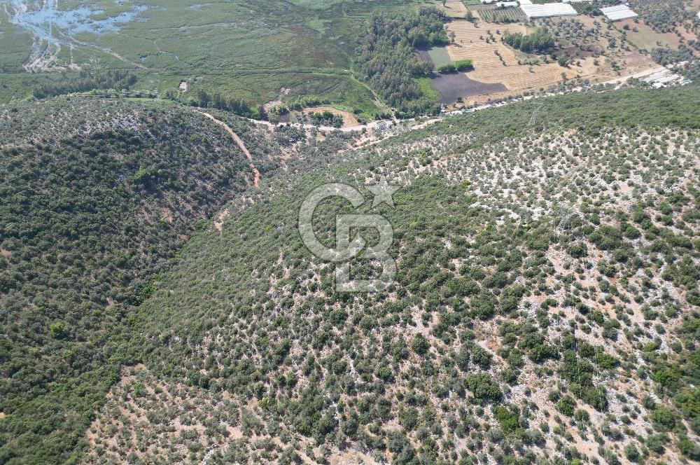 CB GİZ'DEN KAŞ ÜZÜMLÜ'DE SATILIK YATIRIMLIK ARAZİ