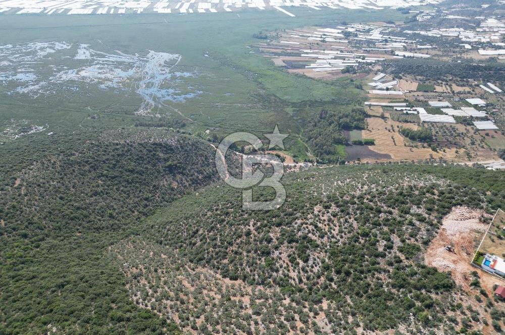 CB GİZ'DEN KAŞ ÜZÜMLÜ'DE SATILIK YATIRIMLIK ARAZİ