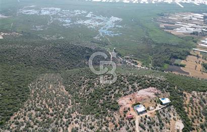 CB GİZ'DEN KAŞ ÜZÜMLÜ'DE SATILIK YATIRIMLIK ARAZİ